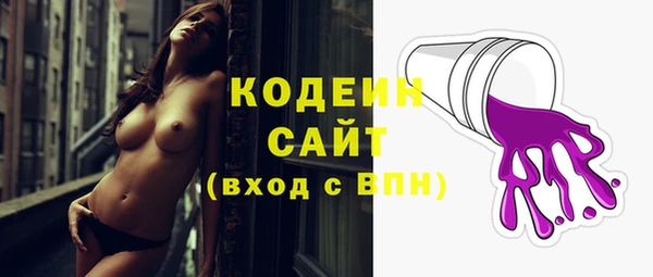 молекула духа Протвино