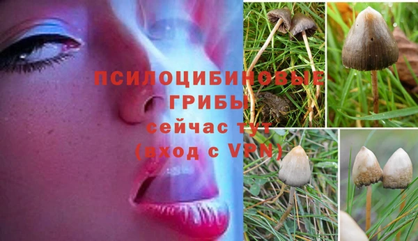 гашиш Алексеевка
