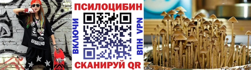 Галлюциногенные грибы ЛСД сколько стоит Починок